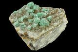 Atacamite On Quartz Crystals - Peru #132363-2